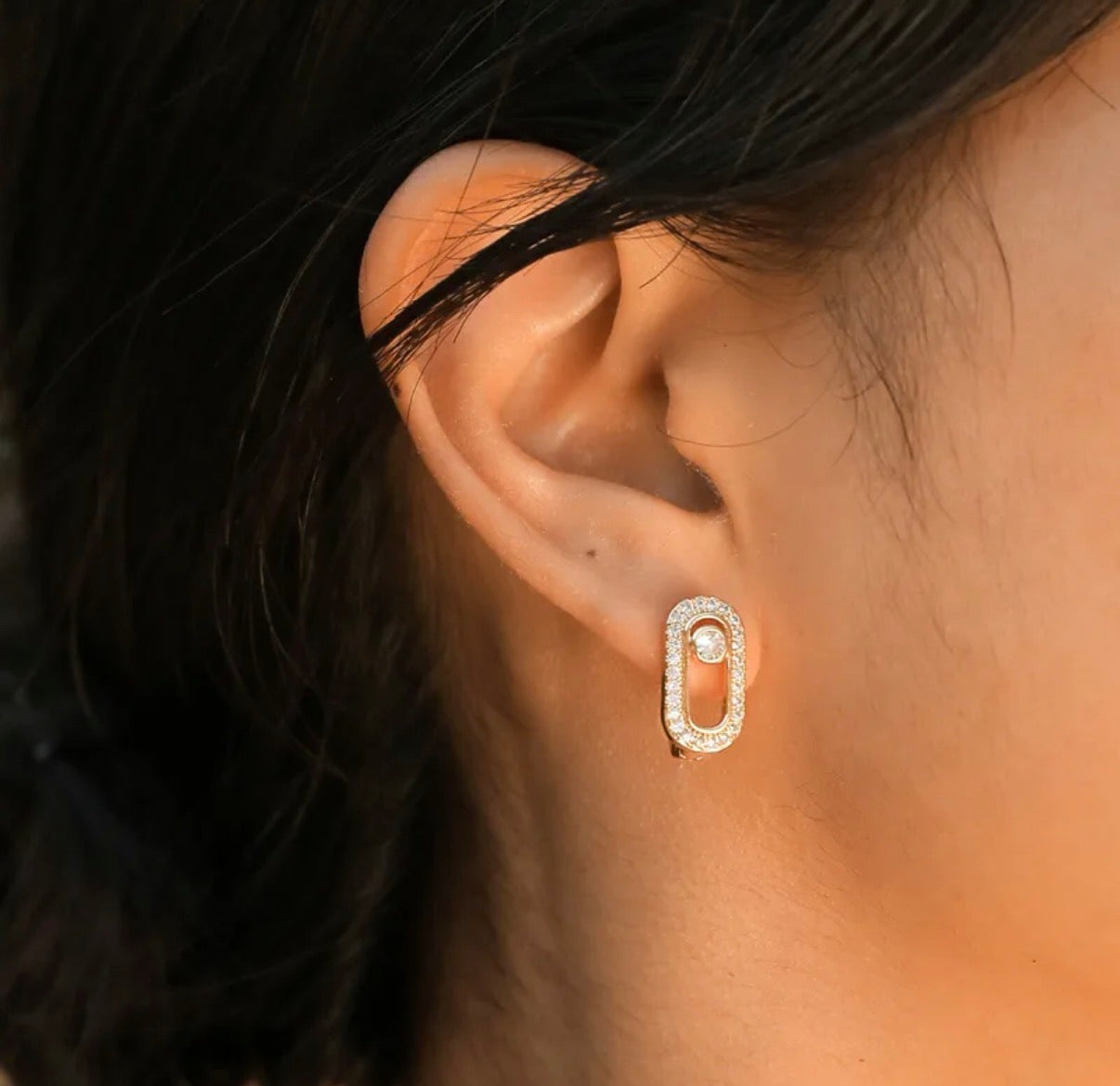 Oval Link Earrings