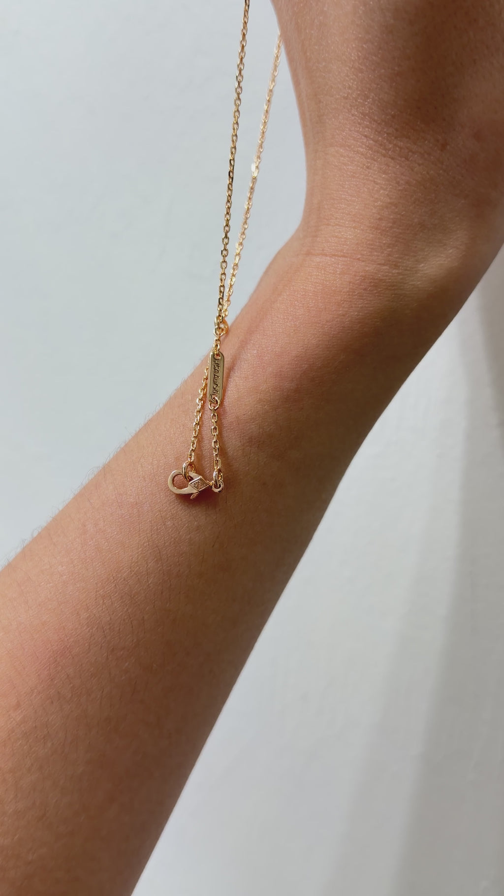 Vnclef Ladybug Necklace